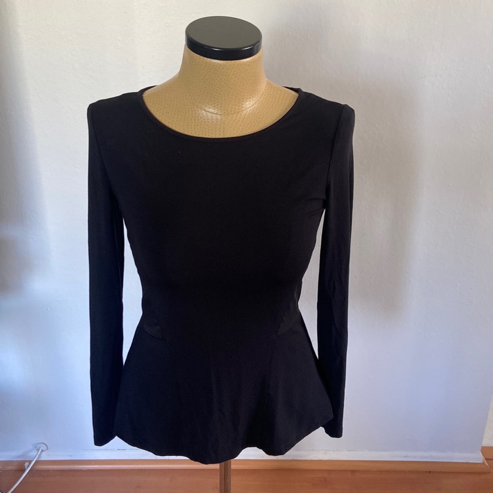 Tart Long Sleeve Sheer Fitted Top